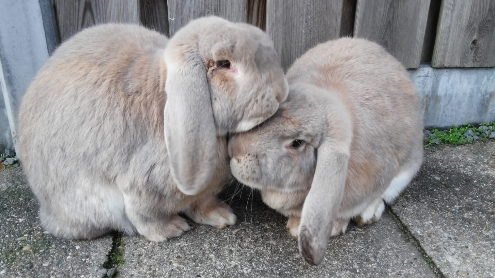 3307d085-28e3-443d-92fe-050483b992d5