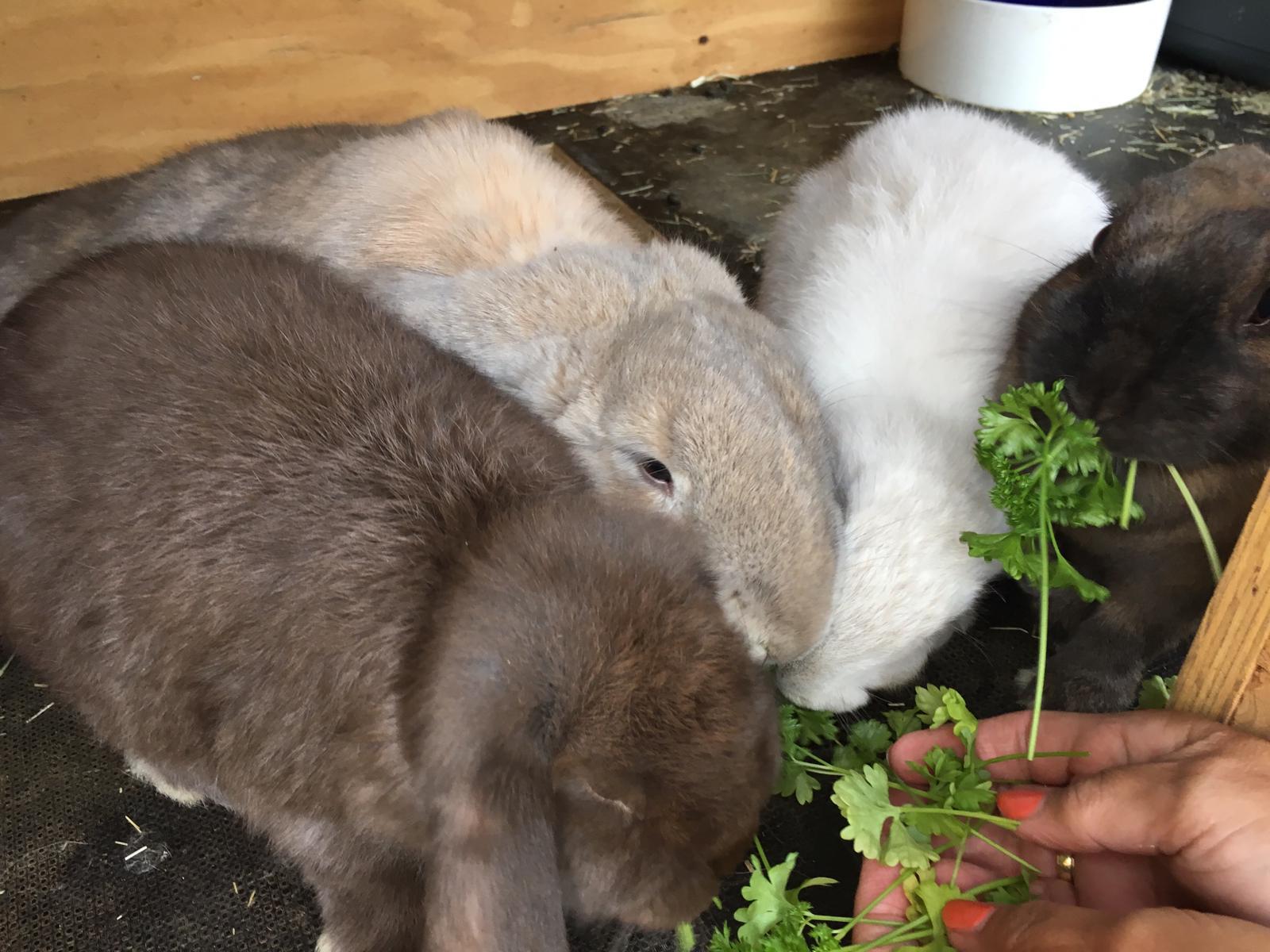 42f56b48-8498-4b69-9eee-409d98d66bc5