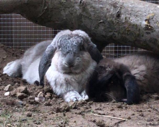 5bb82cd9-fbcb-4727-a0e8-7537e741c078