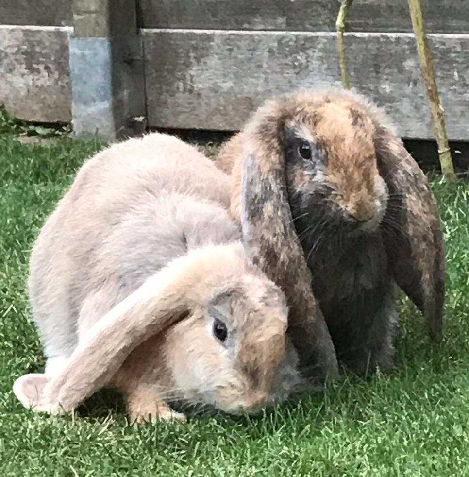 63669428-010b-44b8-8934-ac4518da6a0f