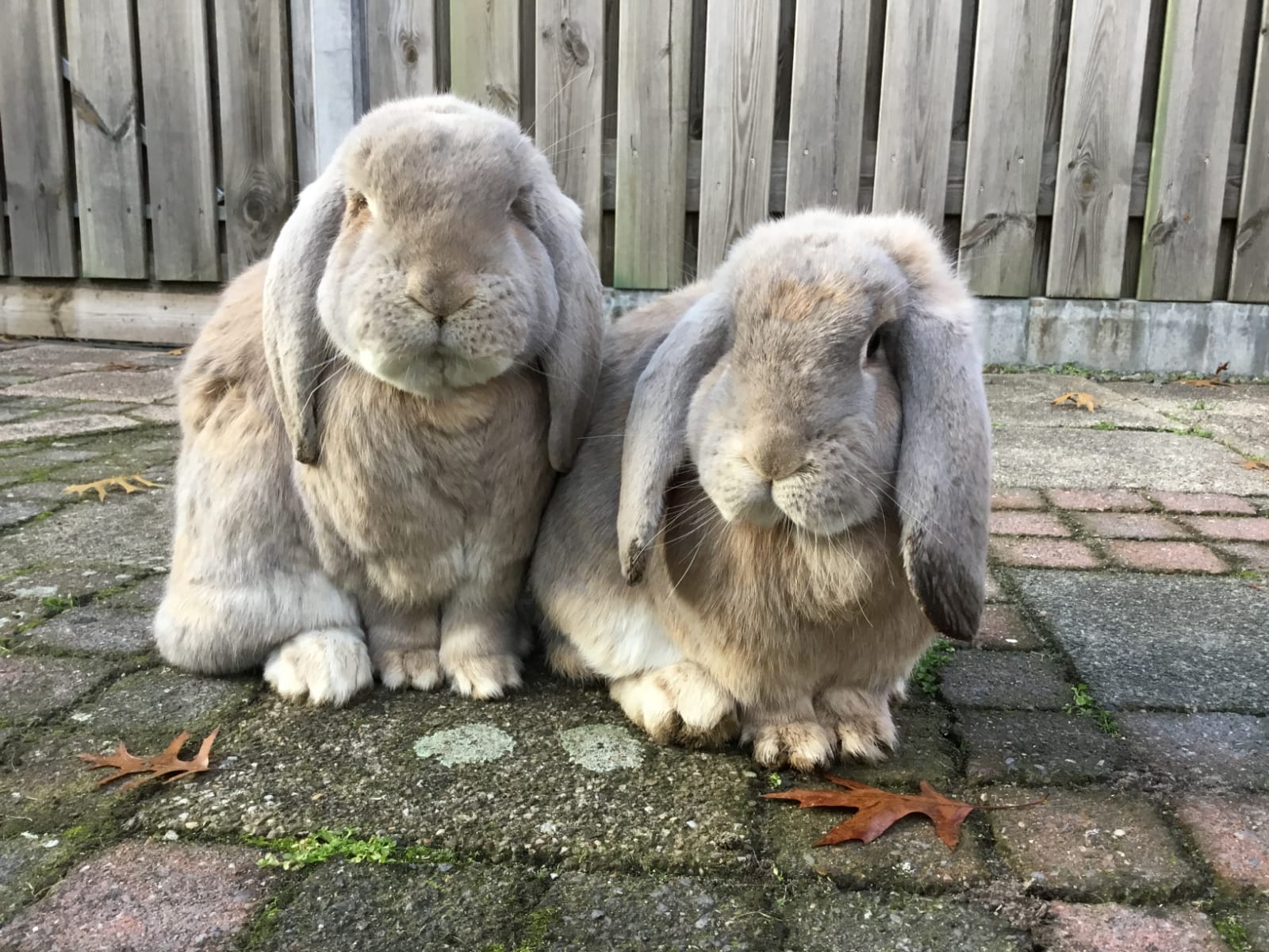 7745785f-fee6-4d3e-9dfa-c9ec40cc9ac5