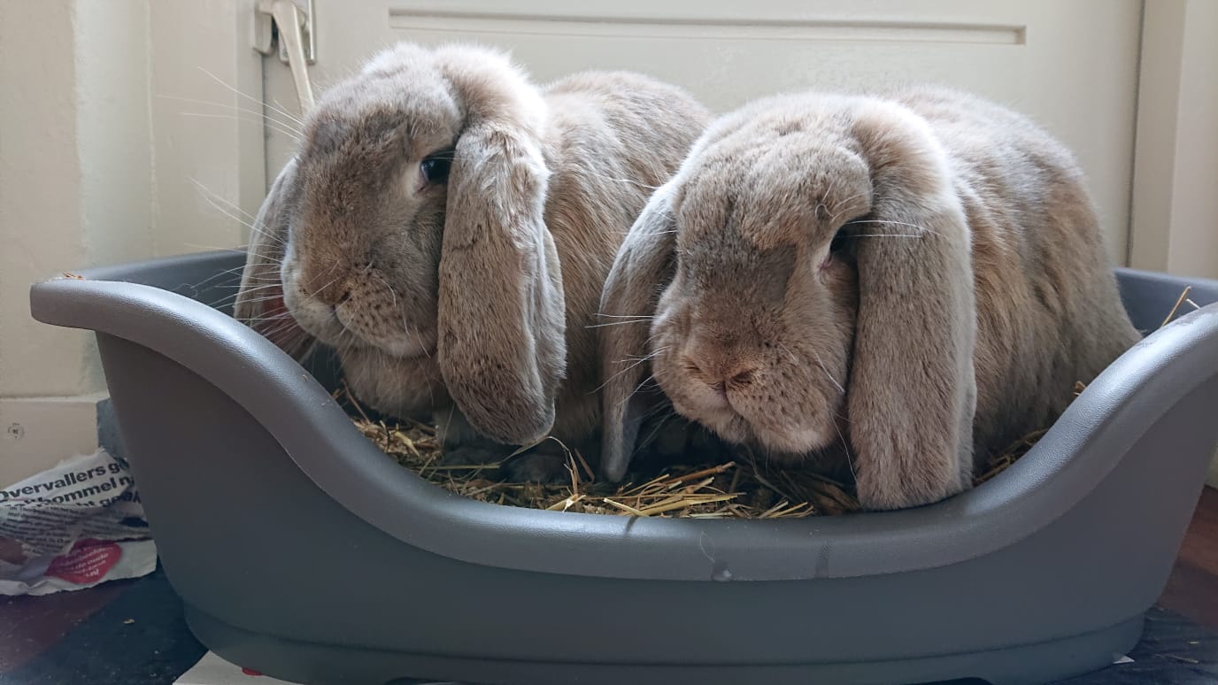 9adb08e8-e5f9-4109-9a55-b806737d773a