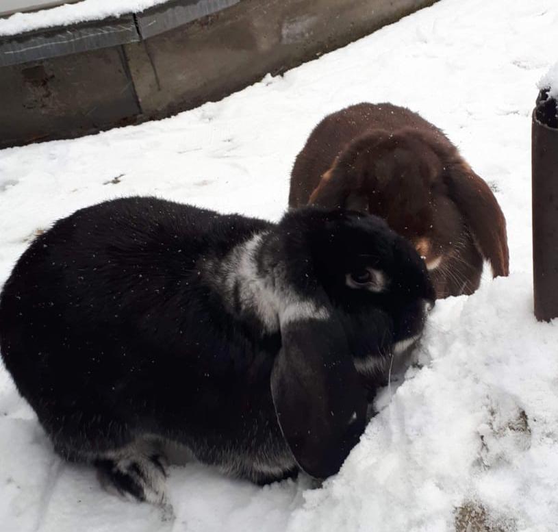 9fe098fb-41a4-4573-8d86-80ba5c6d79e6