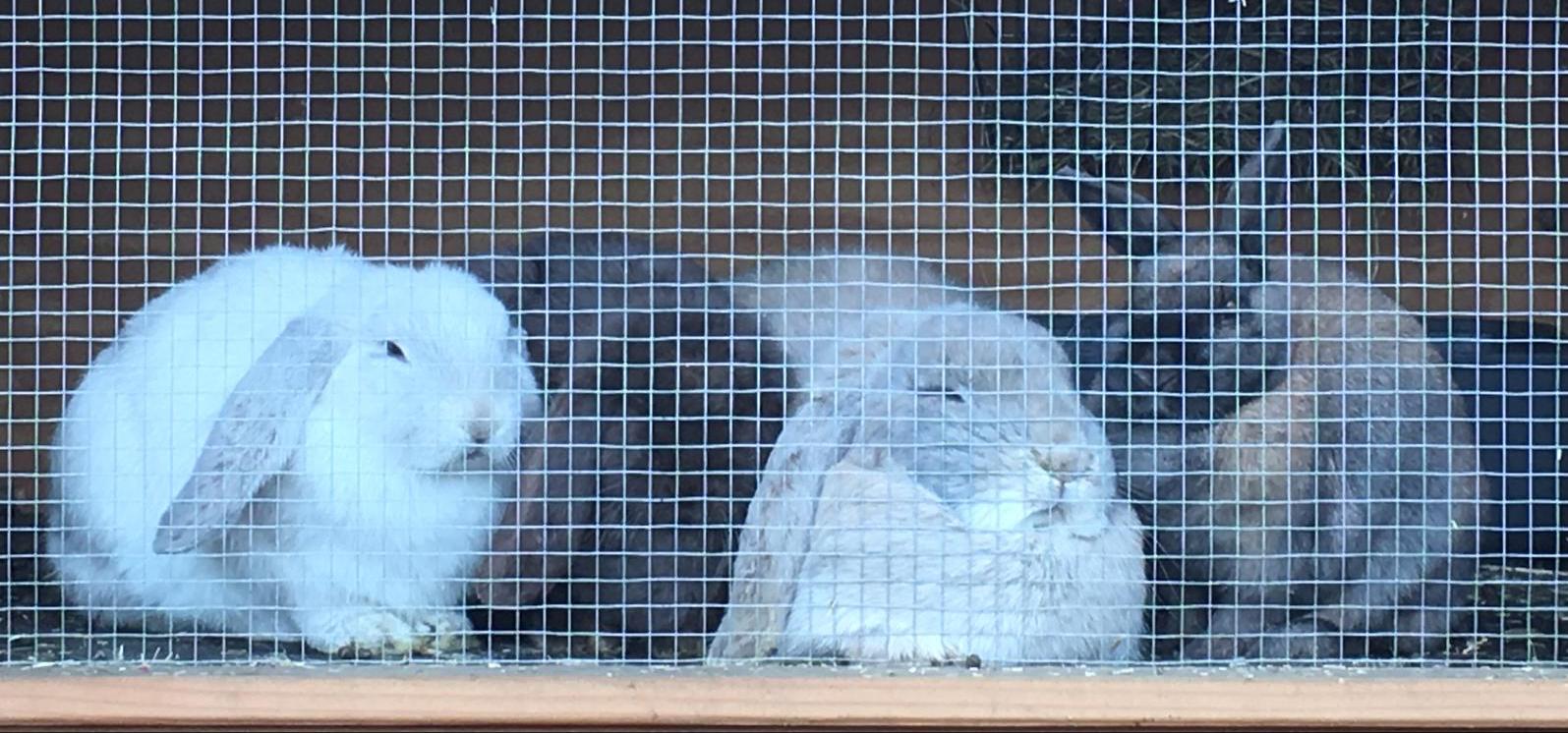 b1c5a018-3e4b-4360-9002-db5c65e4cd25