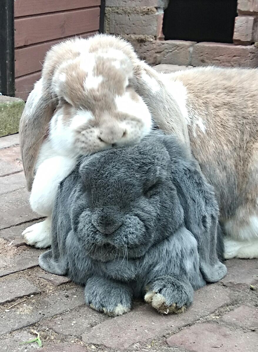 b2130fd4-ab65-450f-acb8-6ce808a15854