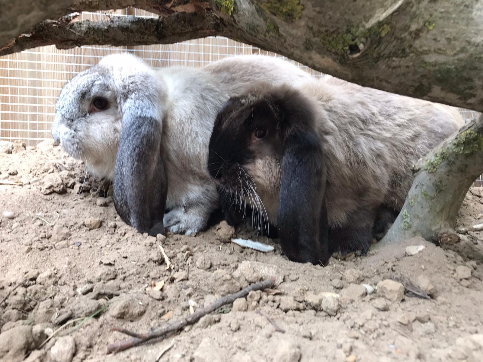 c06f08b5-6666-43db-b3b3-ac372c6fa0ce