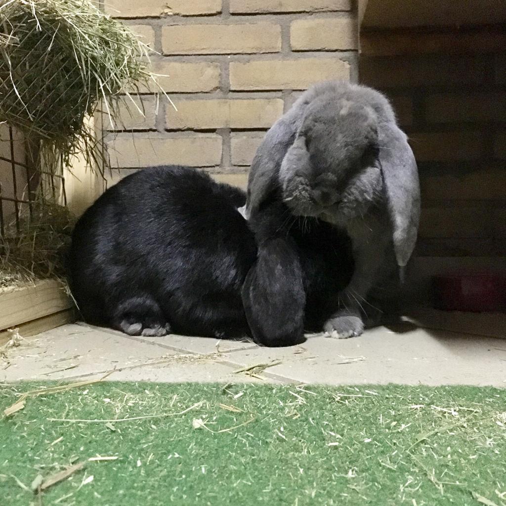 e3ac0080-4429-46ae-a09a-30f22ffe52a0