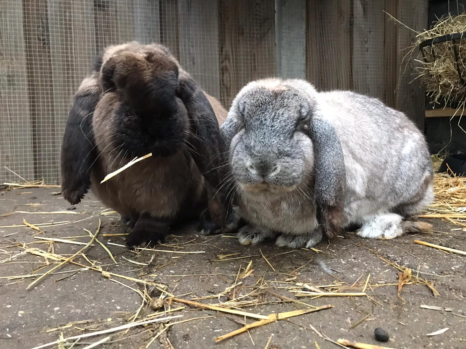 efdee4d1-fb04-44be-860e-2132c83b9559